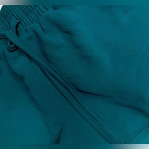 Forever 21 sheer turquoise shorts